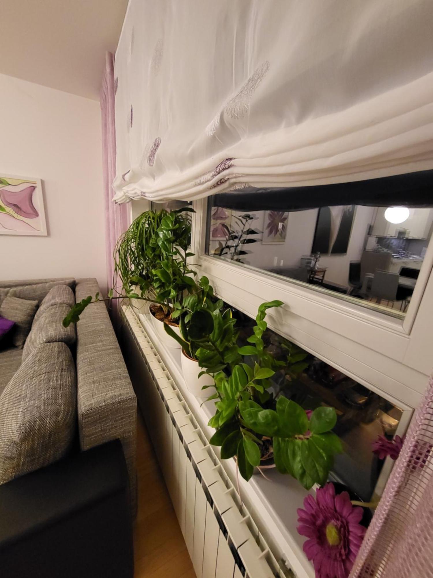 זאגרב Apartman Jarun Lake Lux מראה חיצוני תמונה