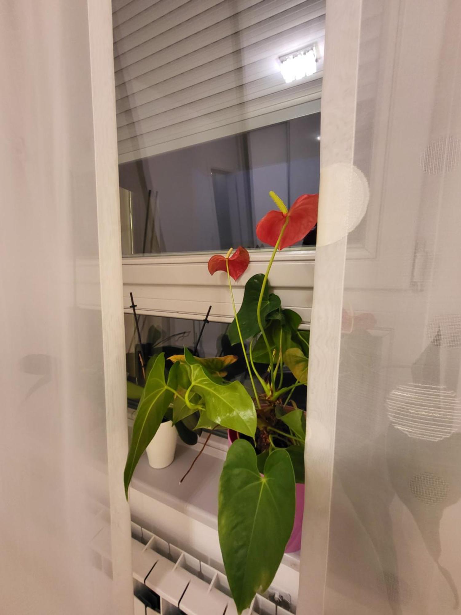 זאגרב Apartman Jarun Lake Lux מראה חיצוני תמונה