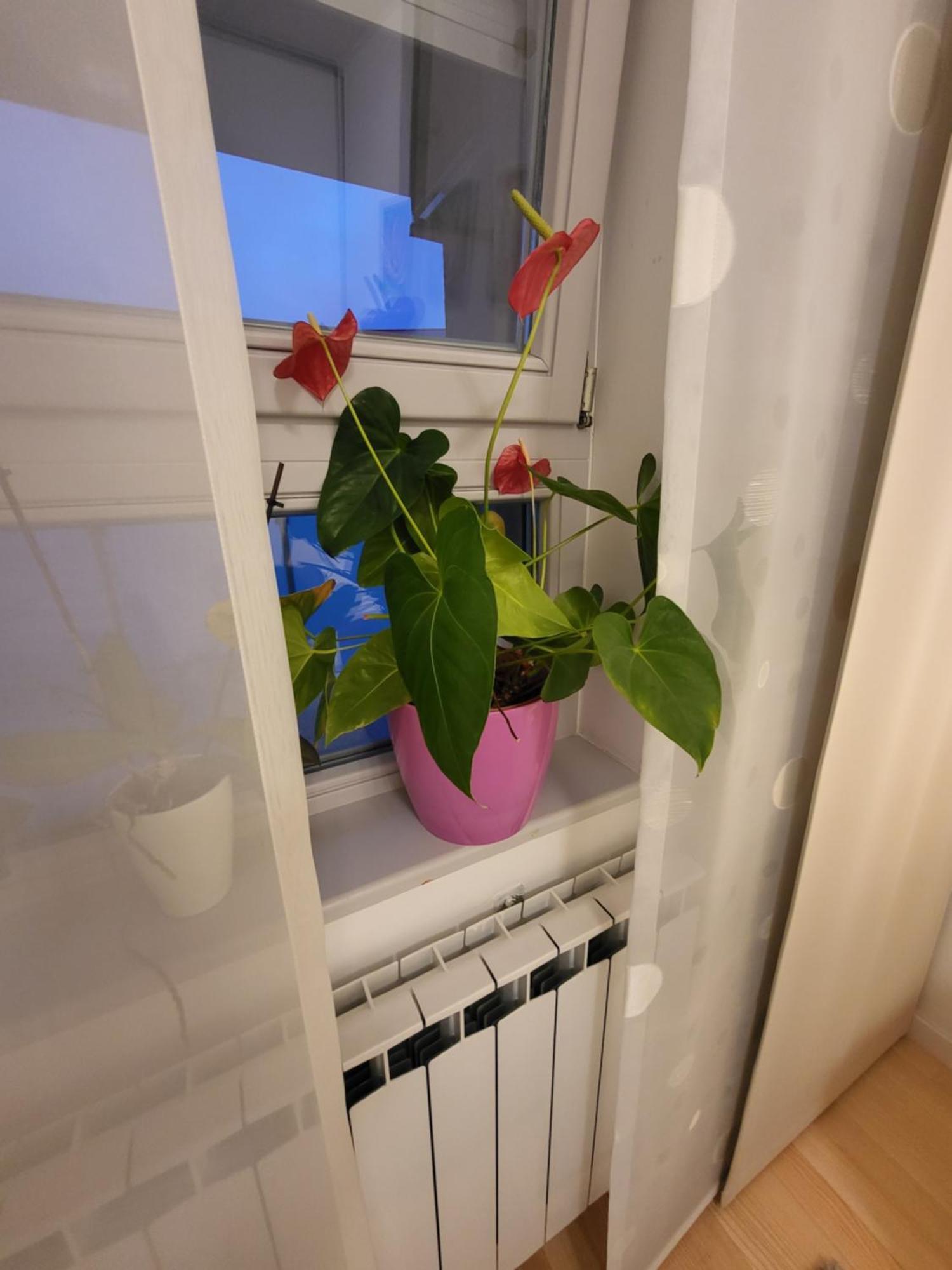 זאגרב Apartman Jarun Lake Lux מראה חיצוני תמונה